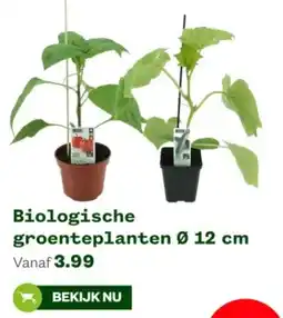 Welkoop Biologische groenteplanten aanbieding