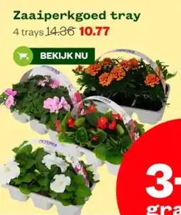 Welkoop Zaaiperkgoed tray aanbieding