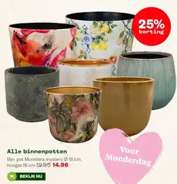 Welkoop Alle binnenpotten aanbieding