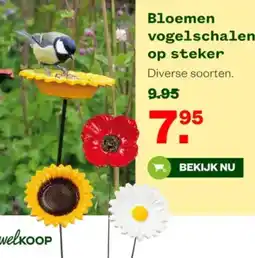 Welkoop Bloemen vogelschalen op steker aanbieding