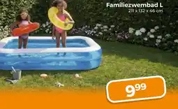 Trekpleister Familiezwembad L aanbieding