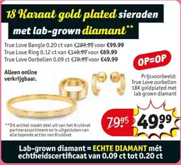 Kruidvat True Love Oorbellen 0.09 CT aanbieding