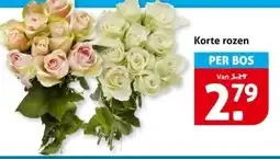 Hoogvliet Korte rozen aanbieding