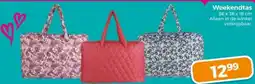 Trekpleister Weekendtas aanbieding