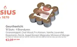 Marskramer Bolsius Geurtheelichten True Scents appel-kaneel 18 stuks aanbieding