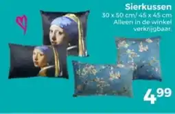 Trekpleister Sierkussen aanbieding