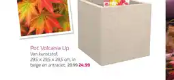 Coppelmans Pot Volcania Up aanbieding