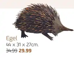 Coppelmans Egel aanbieding