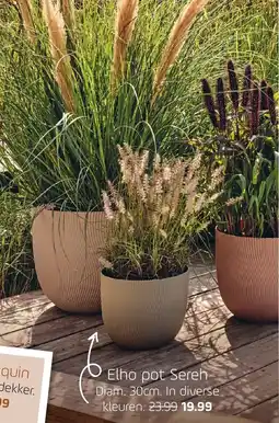 Coppelmans Elho pot Sereh aanbieding