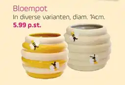 Coppelmans Bloempot aanbieding