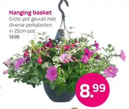 Coppelmans Hanging basket aanbieding