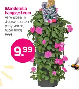 Coppelmans Wanderella hangsysteem aanbieding