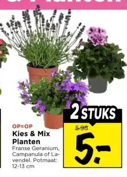 Vomar Voordeelmarkt Kies & Mix Planten aanbieding