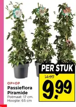 Vomar Voordeelmarkt Passieflora Piramide aanbieding