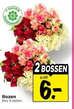 Vomar Voordeelmarkt Rozen aanbieding