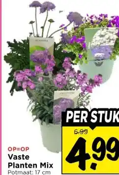 Vomar Voordeelmarkt Vaste Planten Mix aanbieding