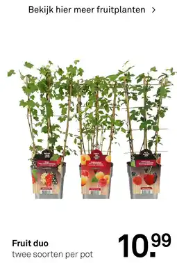 Karwei Fruit Duo aanbieding