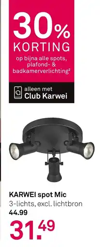 Karwei Karwei Spot Mic aanbieding