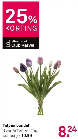 Karwei Tulpen Bundel aanbieding