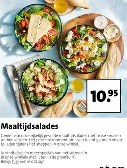 Intratuin Maaltijdsalades aanbieding