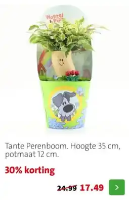 Intratuin Tante Perenboom aanbieding