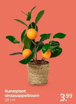 Xenos Kunstplant sinaasappelboom aanbieding