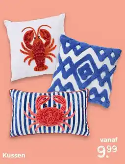 Xenos Kussen aanbieding