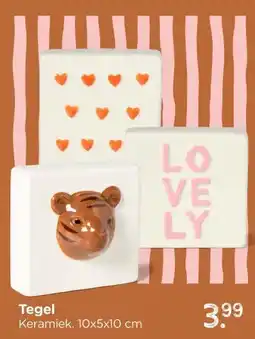 Xenos Tegel Keramiek. 10x5x10 cm aanbieding