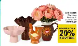 Xenos Alle vazen aanbieding