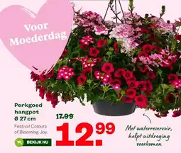 Welkoop Perkgoed hangpot Ø 27 cm aanbieding