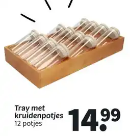 Wibra Tray met kruidenpotjes aanbieding