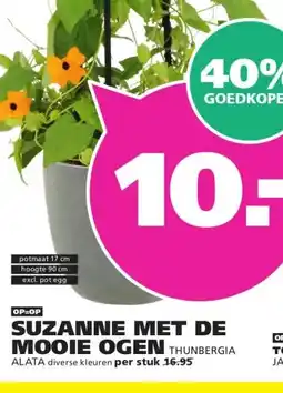 Ranzijn SUZANNE MET DE MOOIE OGEN aanbieding