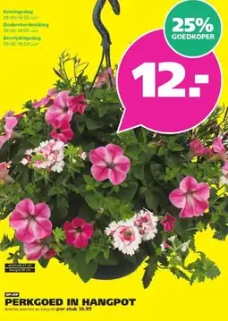 Ranzijn PERKGOED IN HANGPOT aanbieding