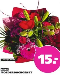 Ranzijn MOEDERDAGBOEKET aanbieding