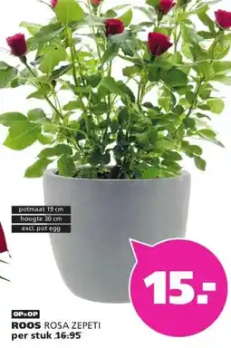 Ranzijn ROOS aanbieding