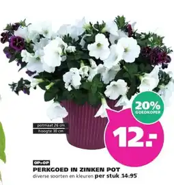 Ranzijn PERKGOED IN ZINKEN POT aanbieding