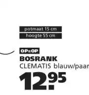 Ranzijn BOSRANK aanbieding
