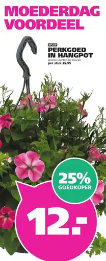 Ranzijn PERKGOED IN HANGPOT aanbieding