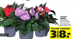 Ranzijn VLIJTIG LIESJE aanbieding