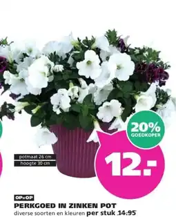 Ranzijn PERKGOED IN ZINKEN POT aanbieding