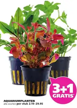 Ranzijn AQUARIUMPLANTEN aanbieding