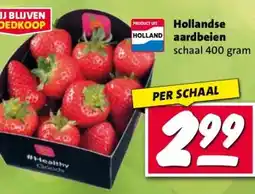 Nettorama Hollandse aardbeien aanbieding