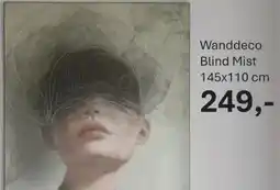 INHOUSE Wanddeco Blind Mist aanbieding