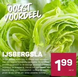 Ekoplaza IJSBERGSLA aanbieding