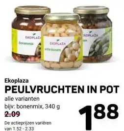Ekoplaza Ekoplaza PEULVRUCHTEN IN POT aanbieding