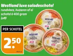 Poiesz Westland luxe saladeschotel aanbieding