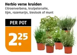Poiesz Herbio verse kruiden aanbieding