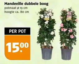 Poiesz Mandeville dubbele boog aanbieding