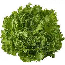 Albert Heijn AH Crispy green sla aanbieding