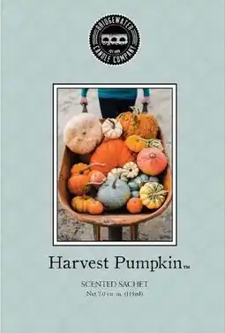 Intratuin Bridgewater geurzakje Harvest Pumpkin aanbieding